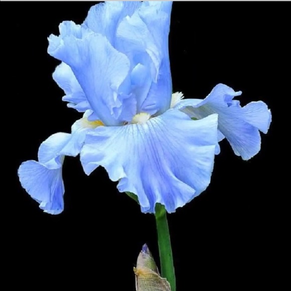 Thank you for visiting my closet - Picture 7 of 16